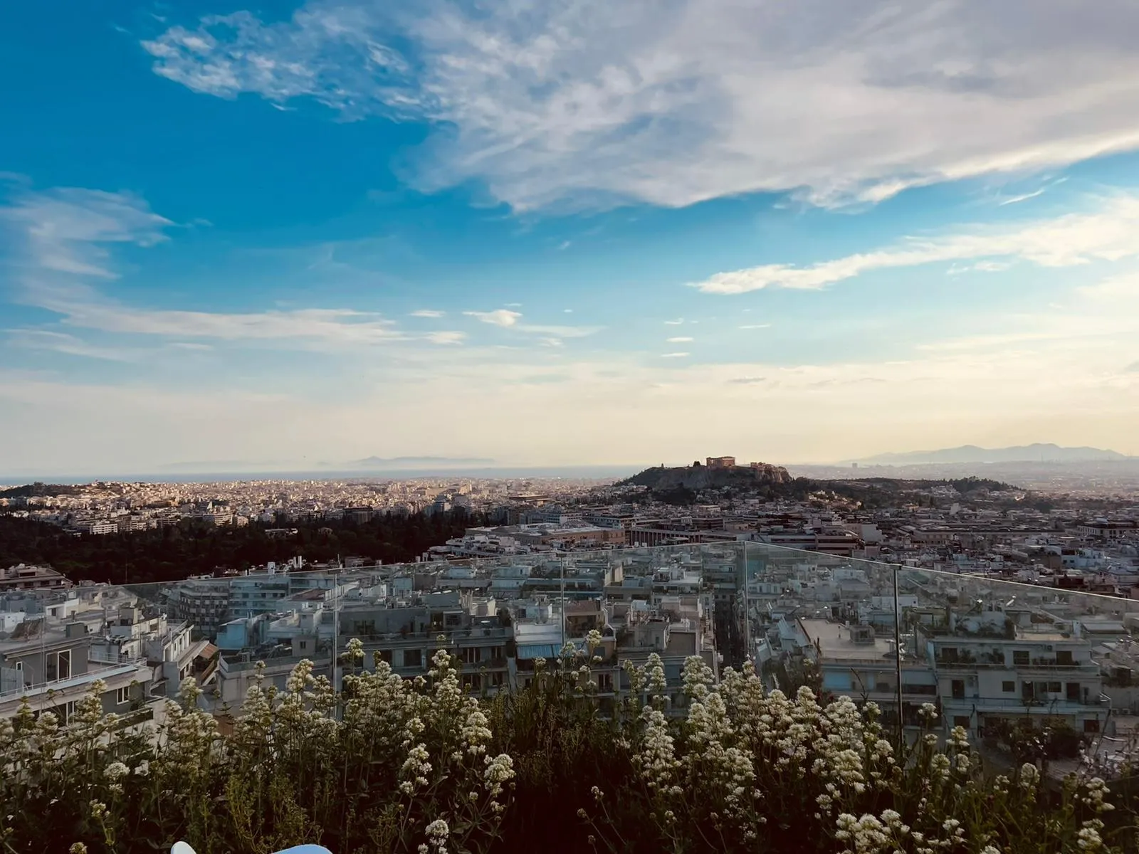 Eine weite Stadtansicht mit weißen Gebäuden, blühenden Pflanzen und blauem Himmel