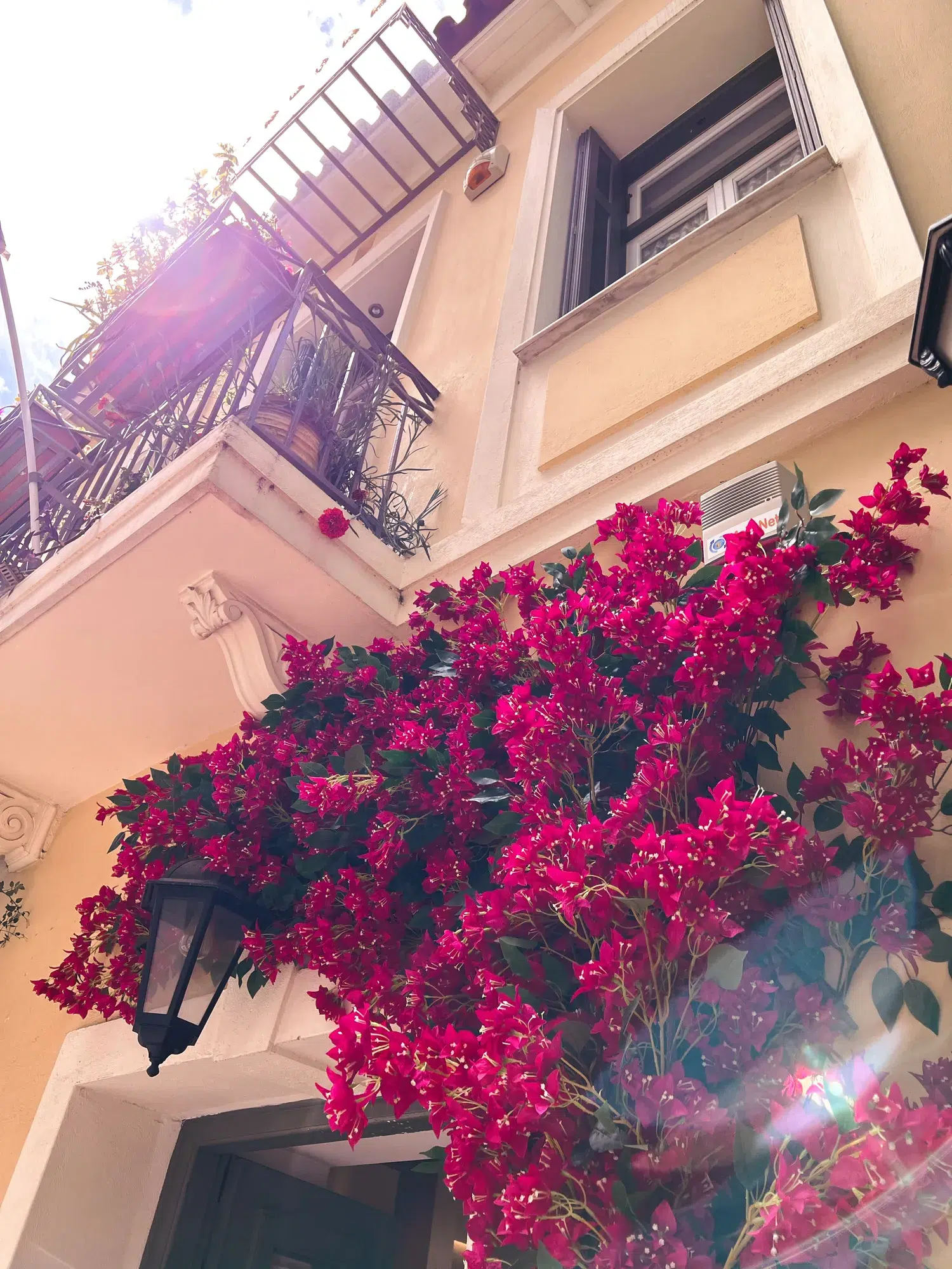 Rote Bougainvillea blüht lebendig neben einem gelben Haus mit Balkon im Sonnenlicht